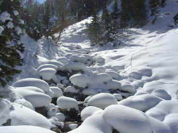 Entre le lac de la Rosière et la vallée des avals près de Courchevel, Février 2005